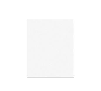 REVESTIMENTO CERAMICO 33.5 X 60 FORMA SLIM BRANCO ELIANE
