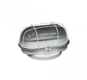 TARTARUGA BRANCA COM GRADE