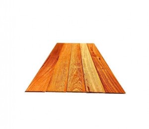 FORRO CEDRINHO MESCLA